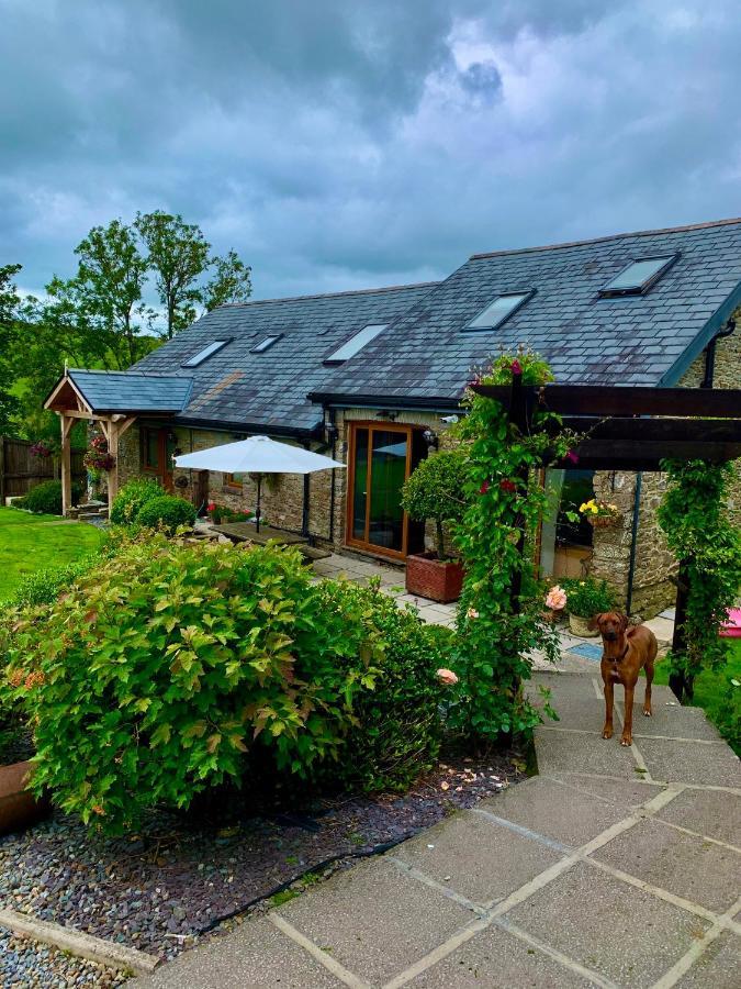 Bed and Breakfast Beudy Bach à Cross Hands Extérieur photo