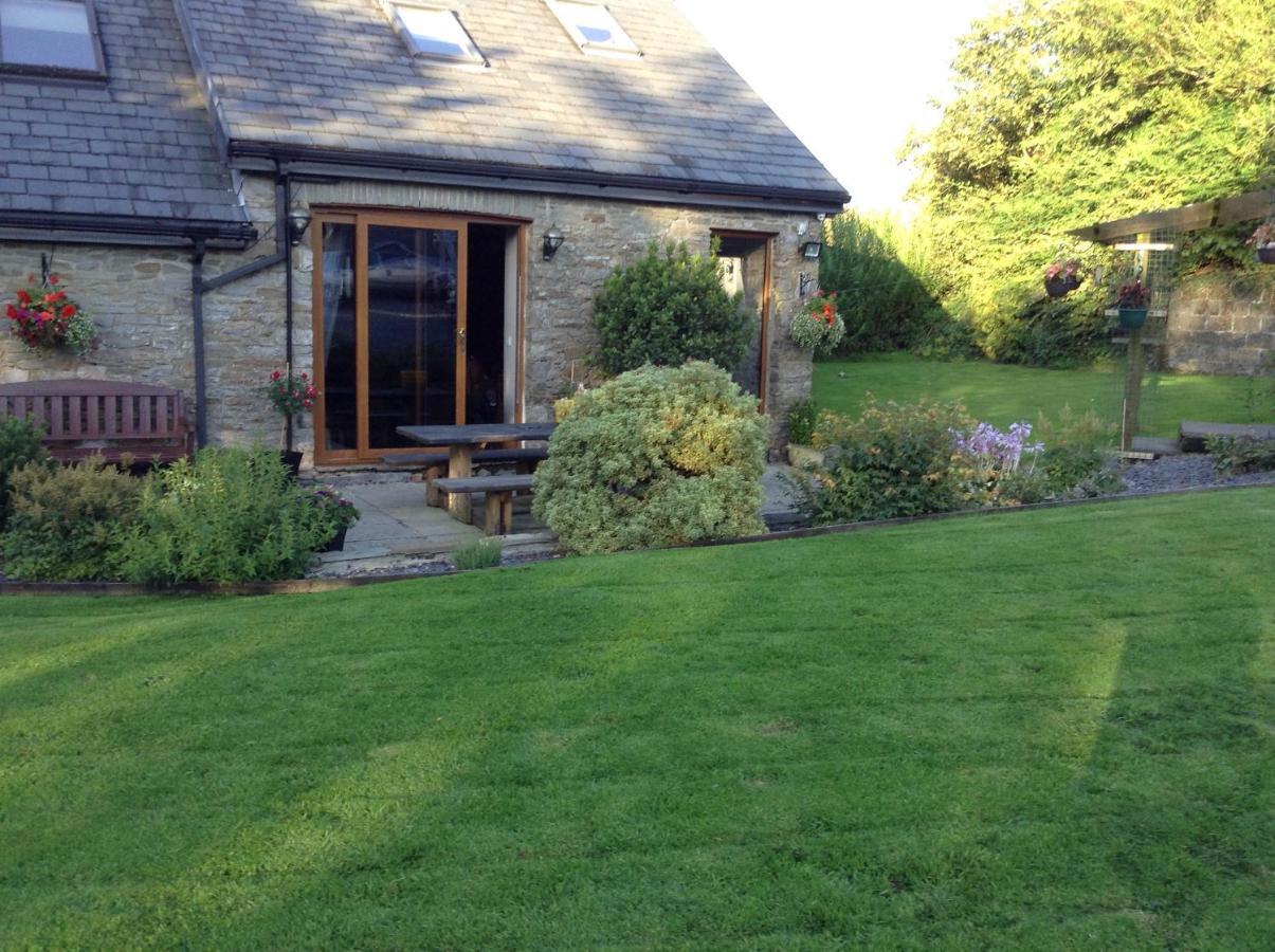 Bed and Breakfast Beudy Bach à Cross Hands Extérieur photo